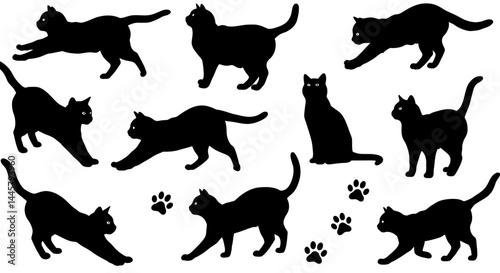Black cat silhouette vector graphic collection for pet lovers and halloween themed design elements art
