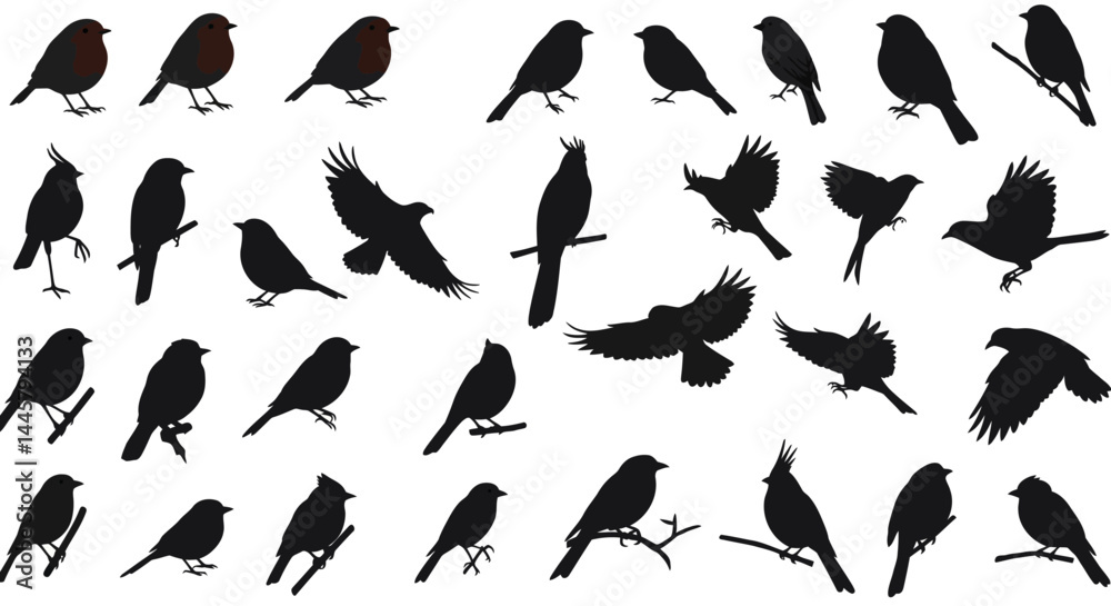 Silhouette bird vector art: flying birds, perched birds, bird species, bird illustration, bird shapes
