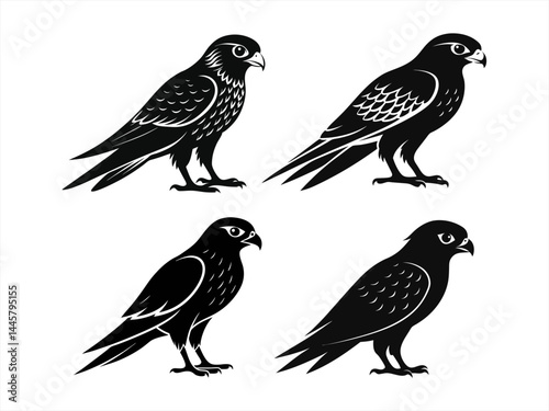 kestrel sihouette black vector bundle