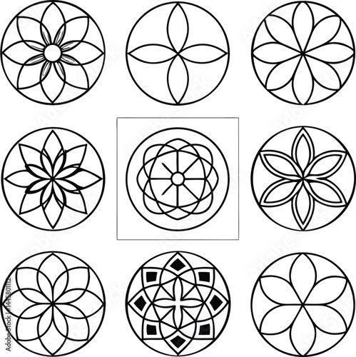 A seamless vector pattern of yellow, black, and orange citrus fruit slices like lemon and grapefruit offers a fresh and juicy design
