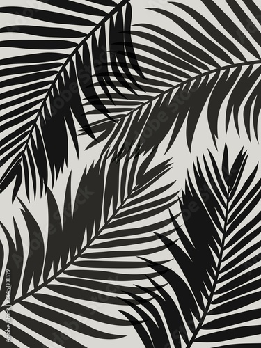 black and white palm leaves abstract background