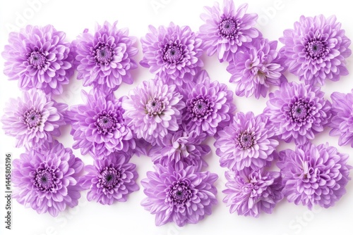 Lilac Chrysanthemum Arrangement