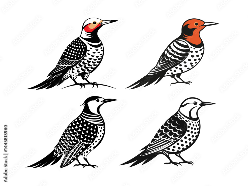 northern flicker sihouette black vector bundle northern flicker sihouette black vector bundle