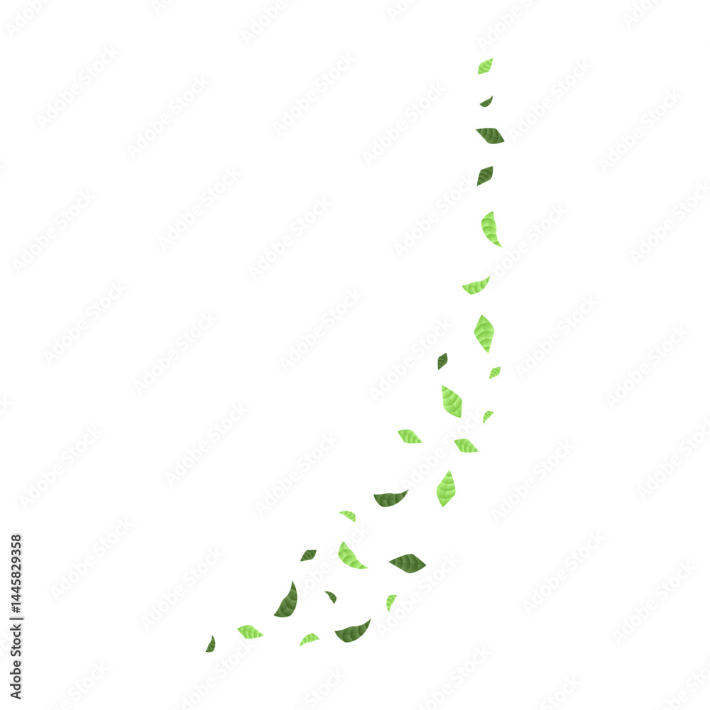 Windblown Leaves Shape Windblown Leaves Shape