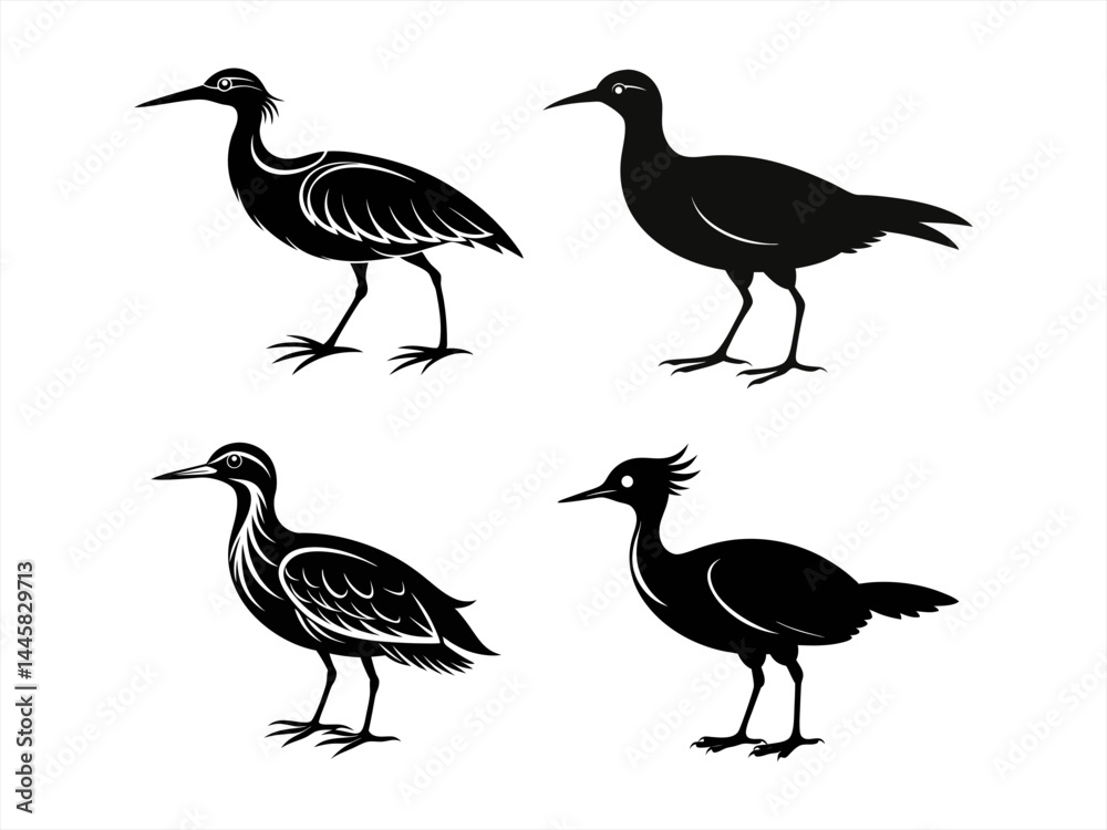 Obraz premium sunbittern sihouette black vector bundle