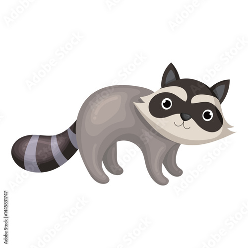 cute raccoon illustration