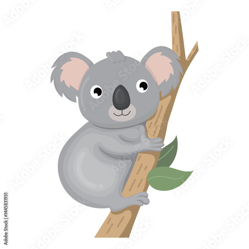 cute koala illustration