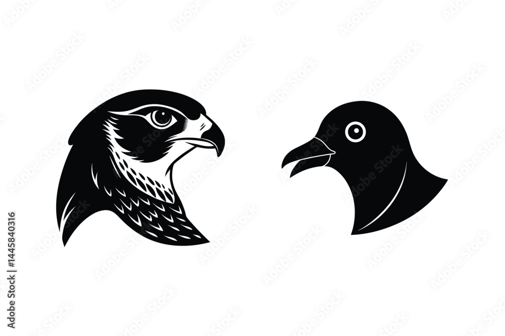 Falcon and pigeon heads monochrome vector illustration bird symbolism wildlife birdwatching design Falcon and pigeon heads monochrome vector illustration bird symbolism wildlife birdwatching design