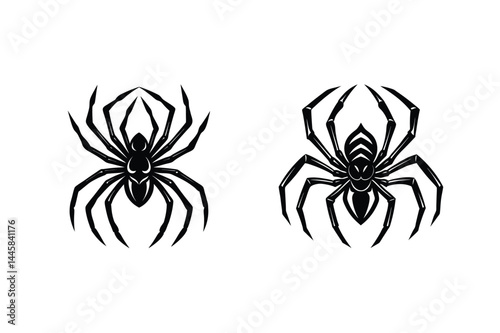 Vector illustration of two spiders in black and white isolated on a white background