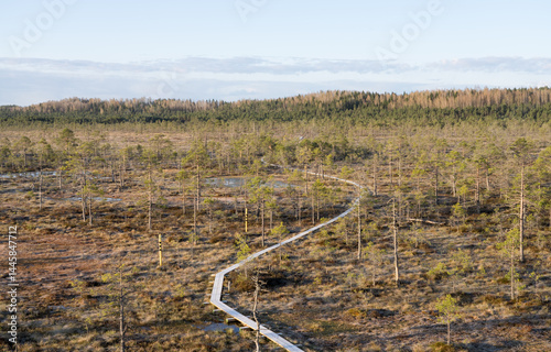 Estonia - April 26 2025: Aerial View of Konnu Suursoo Raised Bog. Scenic Autumn Morning with Wooden Duckboards Over Floating Peat Moss, Deep Hollows, and the Tranquil, Mysterious Wetland Landscape