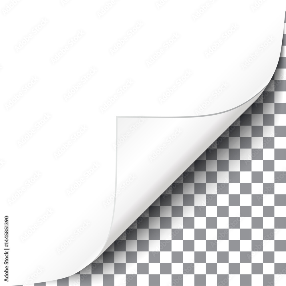 White curled glossy paper corner vector illustration