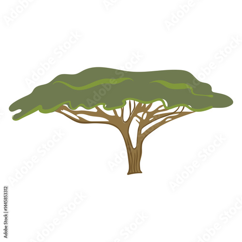 Savanna tree in simple style. Southern, exotic, African plant for decoration, children's illustration. Vector image in flat, modern style for summer sticker.