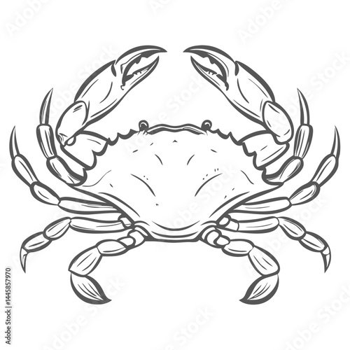 Blue Crab Line Art Vector Illustration