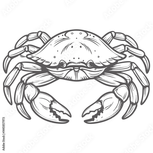 Detailed Blue Crab Line Art Illustration