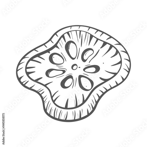 Lotus Root Slice Outline Illustration