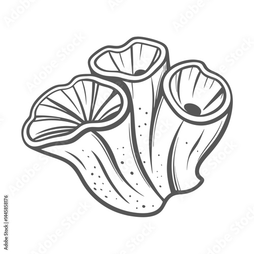 Encrusting Sponge Outline Illustration, Various Species