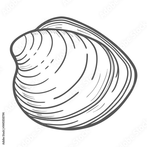 Shipworm Bivalve Outline - Wood Boring Teredinidae