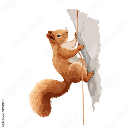 Climbing squirrel on a rock