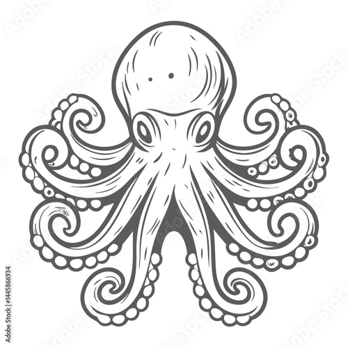 Elegant Octopus Illustration, Common Octopus Vulgaris