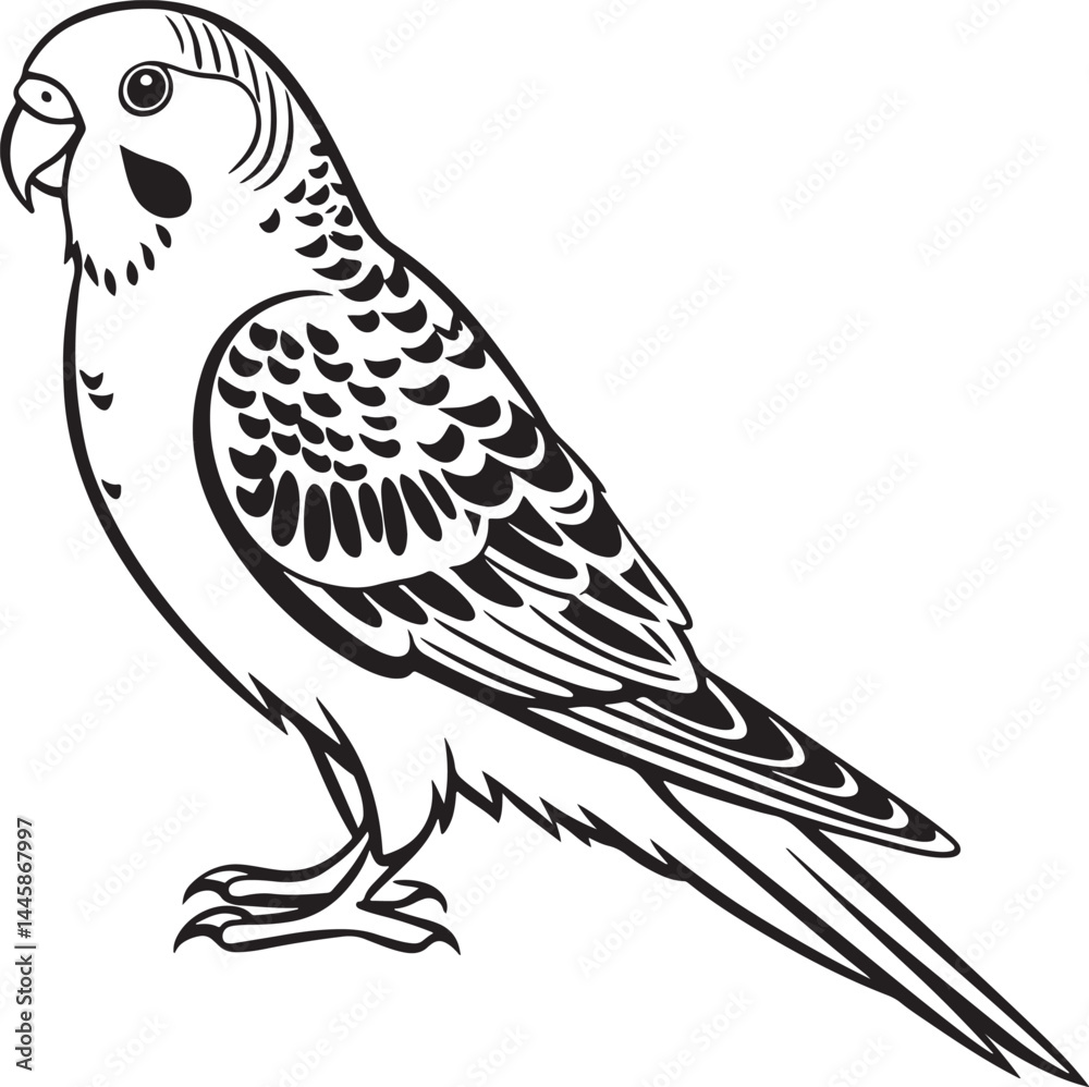 Fototapeta premium saint parrot bird silhouette vector illustration