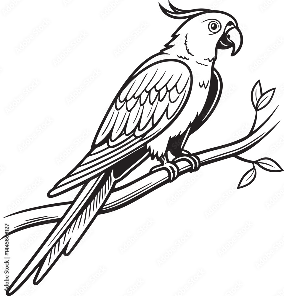 Fototapeta premium saint parrot bird silhouette vector illustration