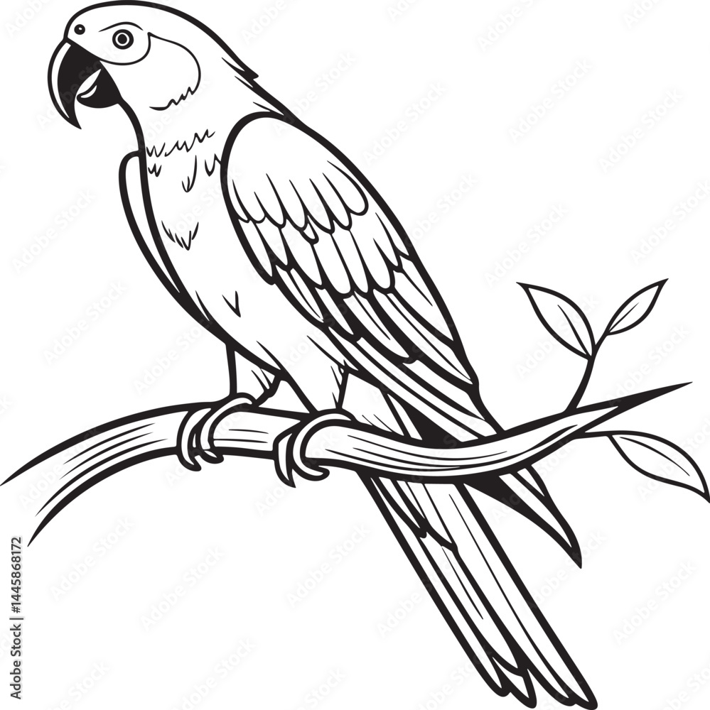 saint parrot bird silhouette vector illustration