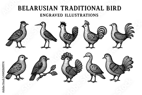 Ornate engravings of traditional Belarusian birds showcasing unique styles and cultural significance displayed in intricate detail