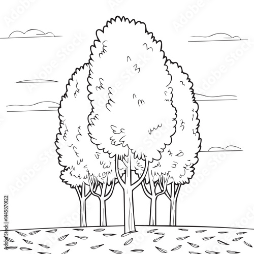 The Poplar coloring page design is black and white.