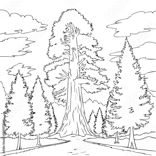 The Sequoia coloring page design is black and white.