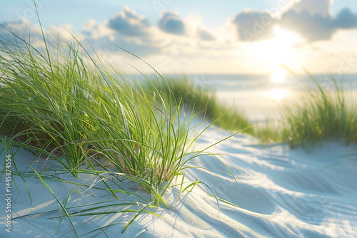 The stunning beauty and natural balance of coastal dunes, with lush beach grass and the timeless charm of wind swept meadows, embody the enduring resilience and captivating allure of this picturesque 