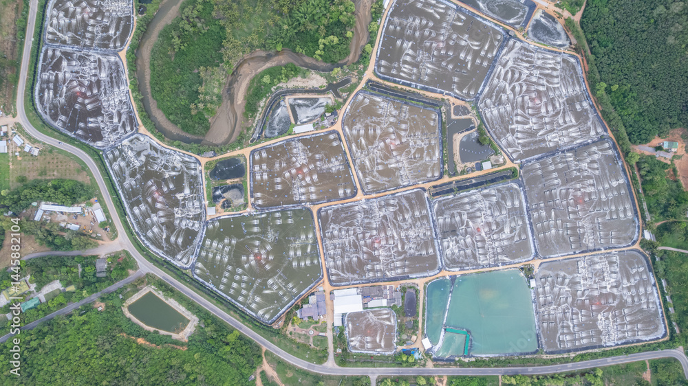 Fototapeta premium Aerial view of shrimp aquaculture farm 