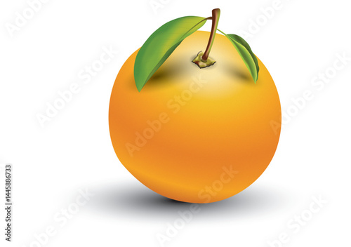orange vector