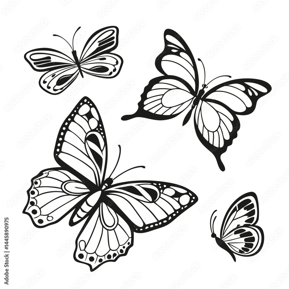 Obraz premium Monochrome Insect butterfly black winged gorgeous insect set isolated vector illustration