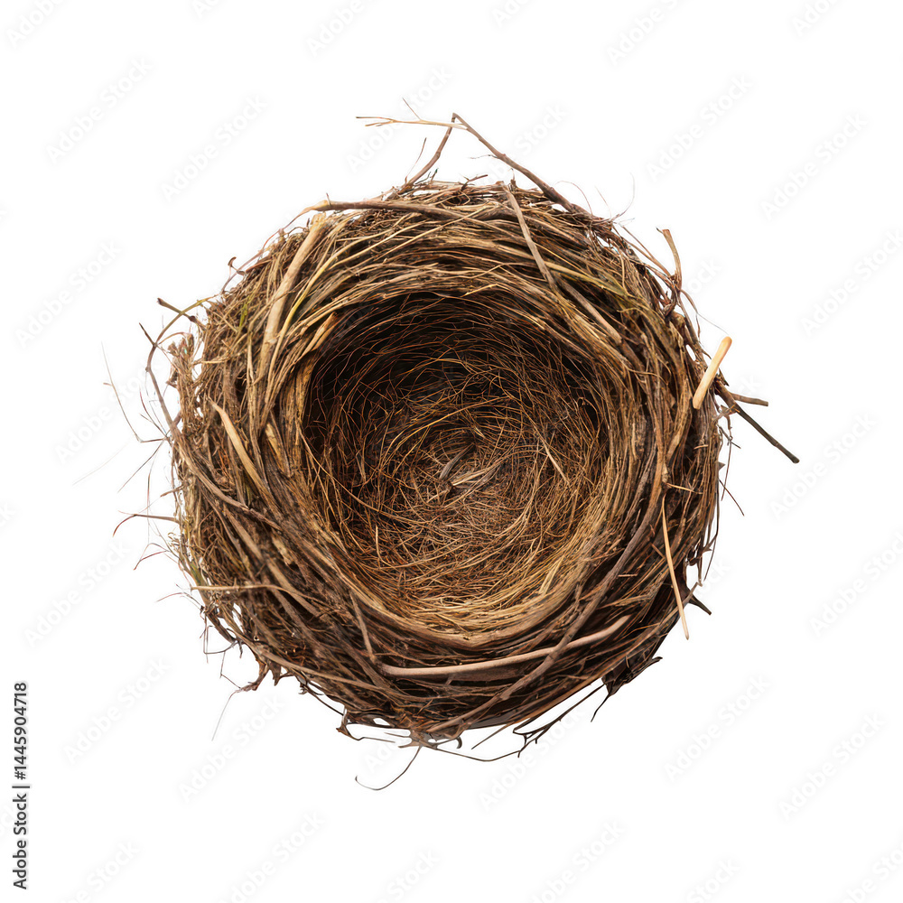 Obraz premium Bird nest png bird nest with eggs png nest png bird house png baby bird nest png natural bird nest png white background image