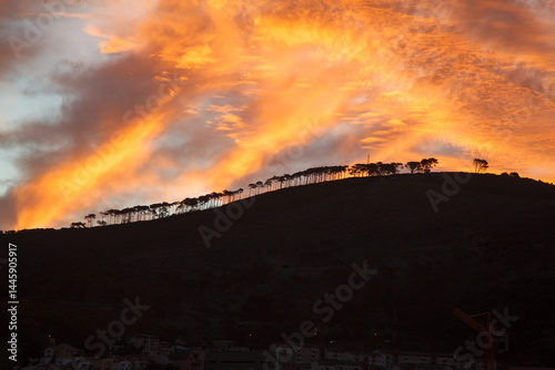Obraz na płótnie Beautiful Signal Hill tree line at sunset, Cape Town, South Africa w salonie