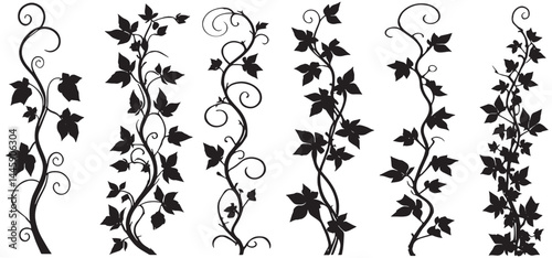 decorative black and white wavy ivy branches with leaves vector illustration, isolated on white background