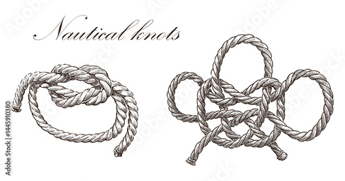 Sketches of two nautical knots, realistic hand drawn vector illustration isolated on white