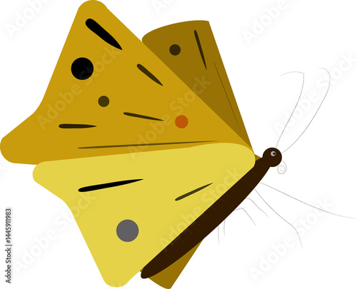 Butterfly isolated on transparent background.