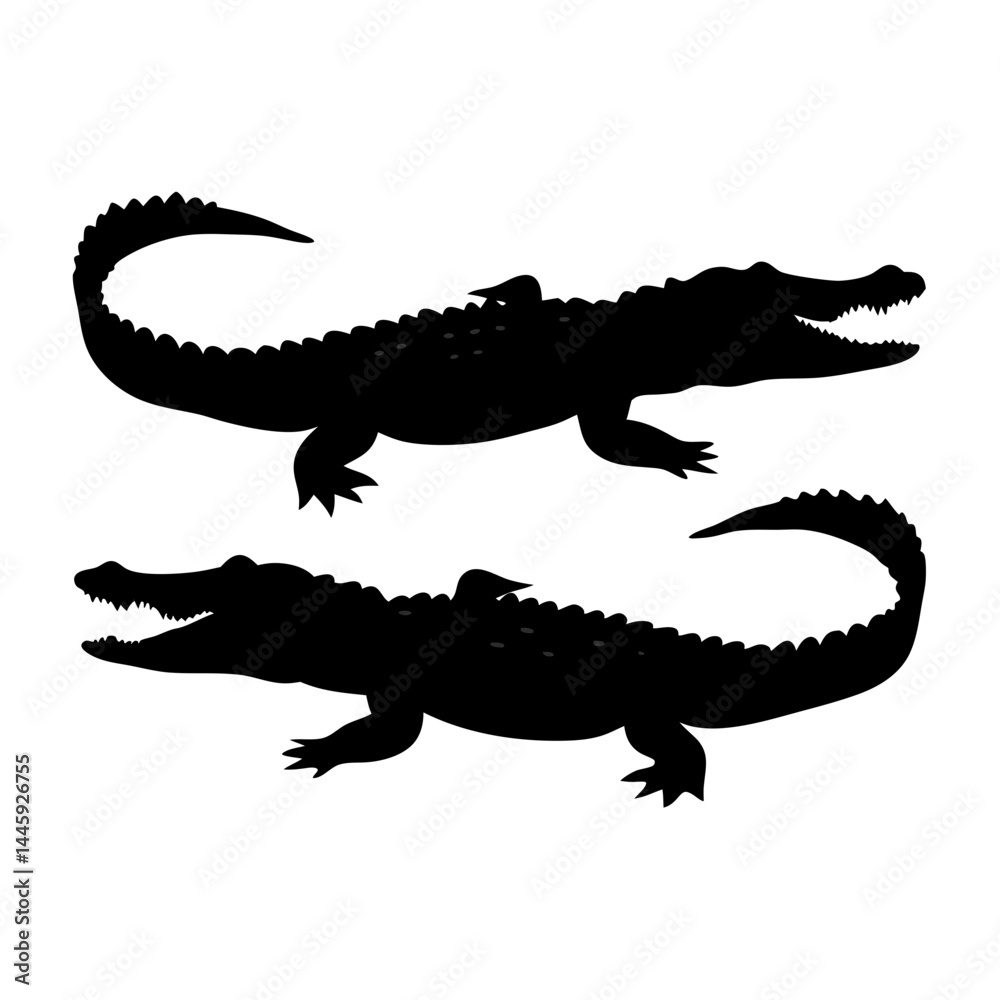 Naklejka premium Silhouette of two crocodiles with sharp teeth and spiked tails