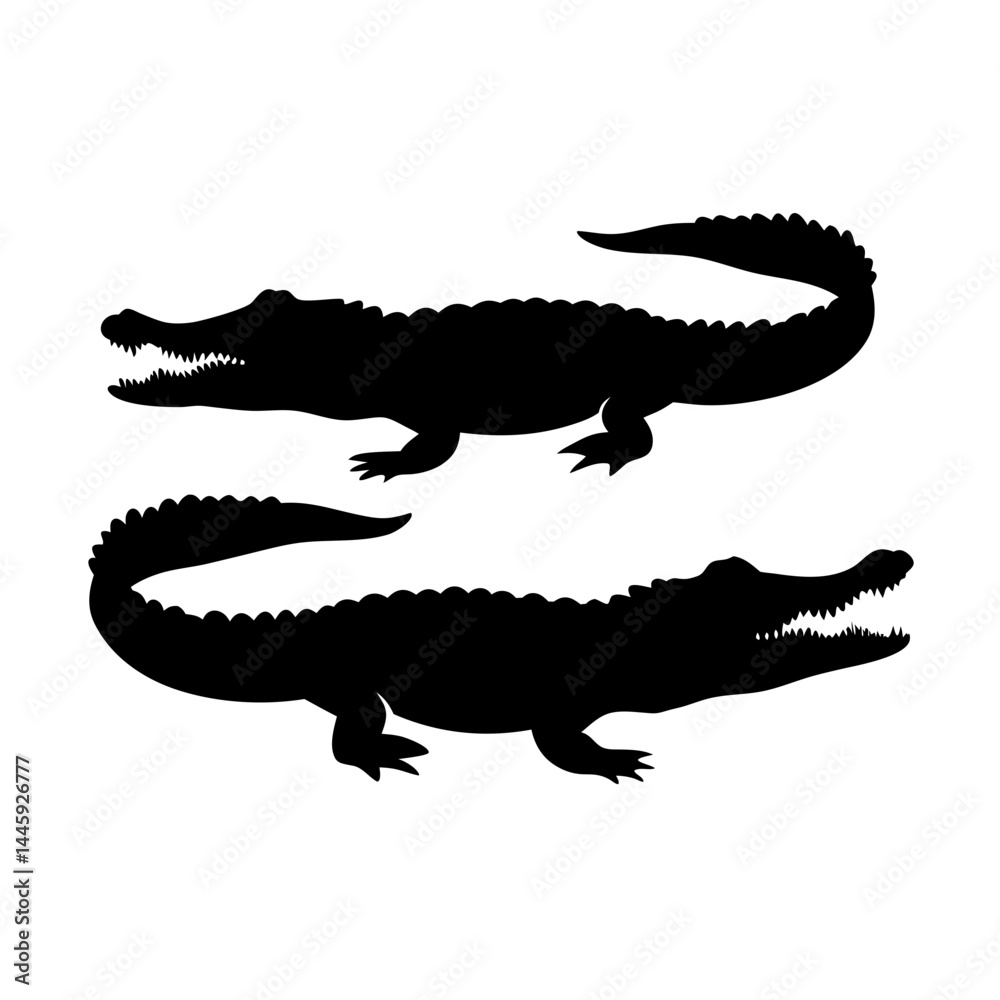 Fototapeta premium Silhouette of two crocodiles with sharp teeth and spiked tails