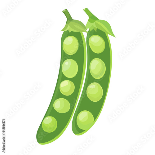 Fresh Green Peas In A Spring Garden, Flat vector, minimalist design, isolated on a white background.