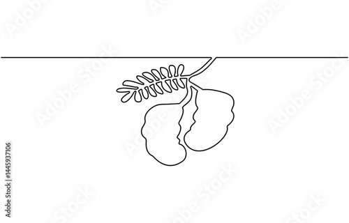 Single continuous line drawing of whole healthy brown organic tamarind for orchard logo identity. Fresh fruitage concept for fruit garden icon. Dynamic one line draw graphic design vector il