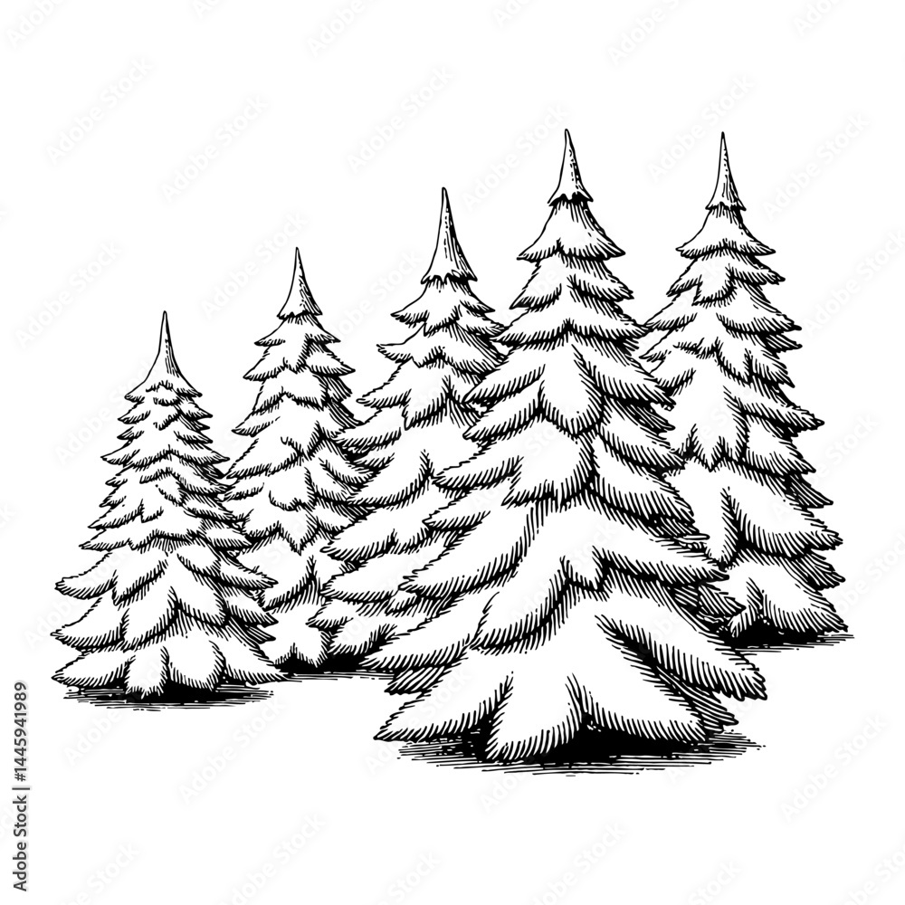 Obraz premium Multiple Snow Covered Fir Trees Black and White Outline Line Art Drawing Detailed Illustration
