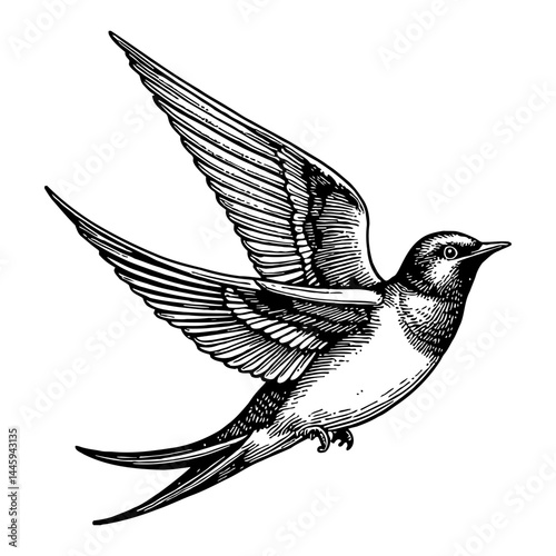 Swallow Bird Flying Detailed Engraving Sketch Vintage Style Black and White Outline Line Art Drawing