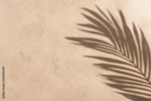 a beige sand background with a palm leaf shadow, top view. A summer concept for a banner or wallpaper