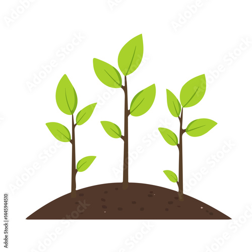 Young Saplings Growing In The Spring, Flat vector, minimalist design, isolated on a white background.