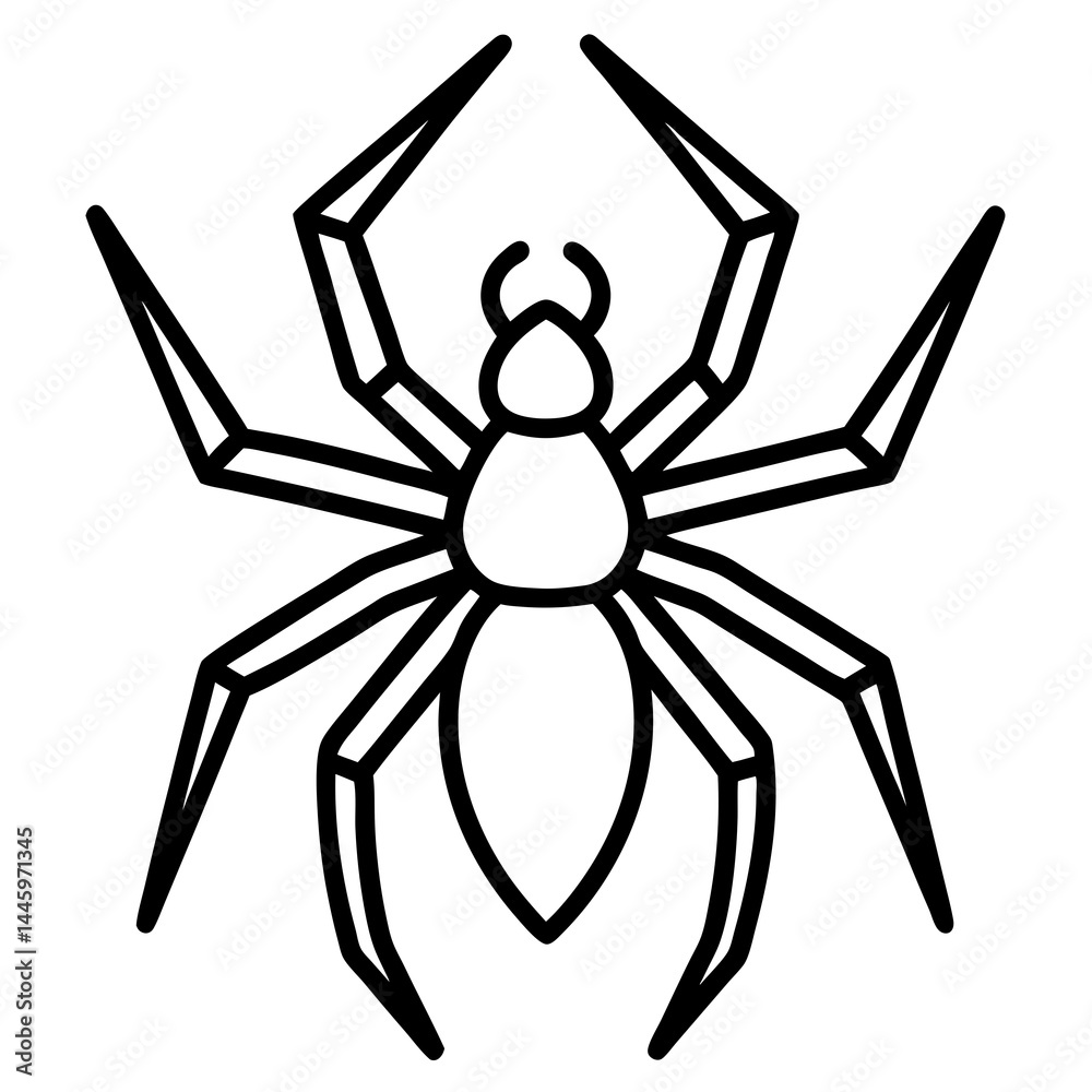 Obraz premium Simple Wolf Spider Digital Line Drawing
