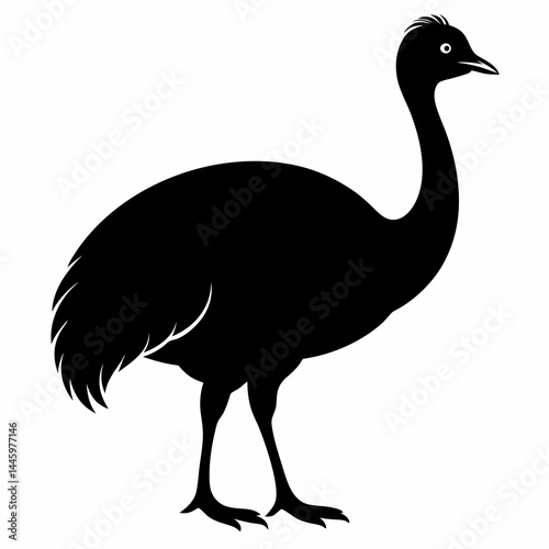 Stylized Cassowary Silhouette Design