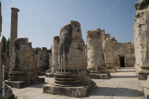 Türkiye ruins of ancient Didim on a sunny autumn day