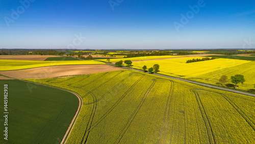 Agricultural landscape of the Lower Silesian Voivodeship with fragmented terrain structure and rapeseed fields, Poland